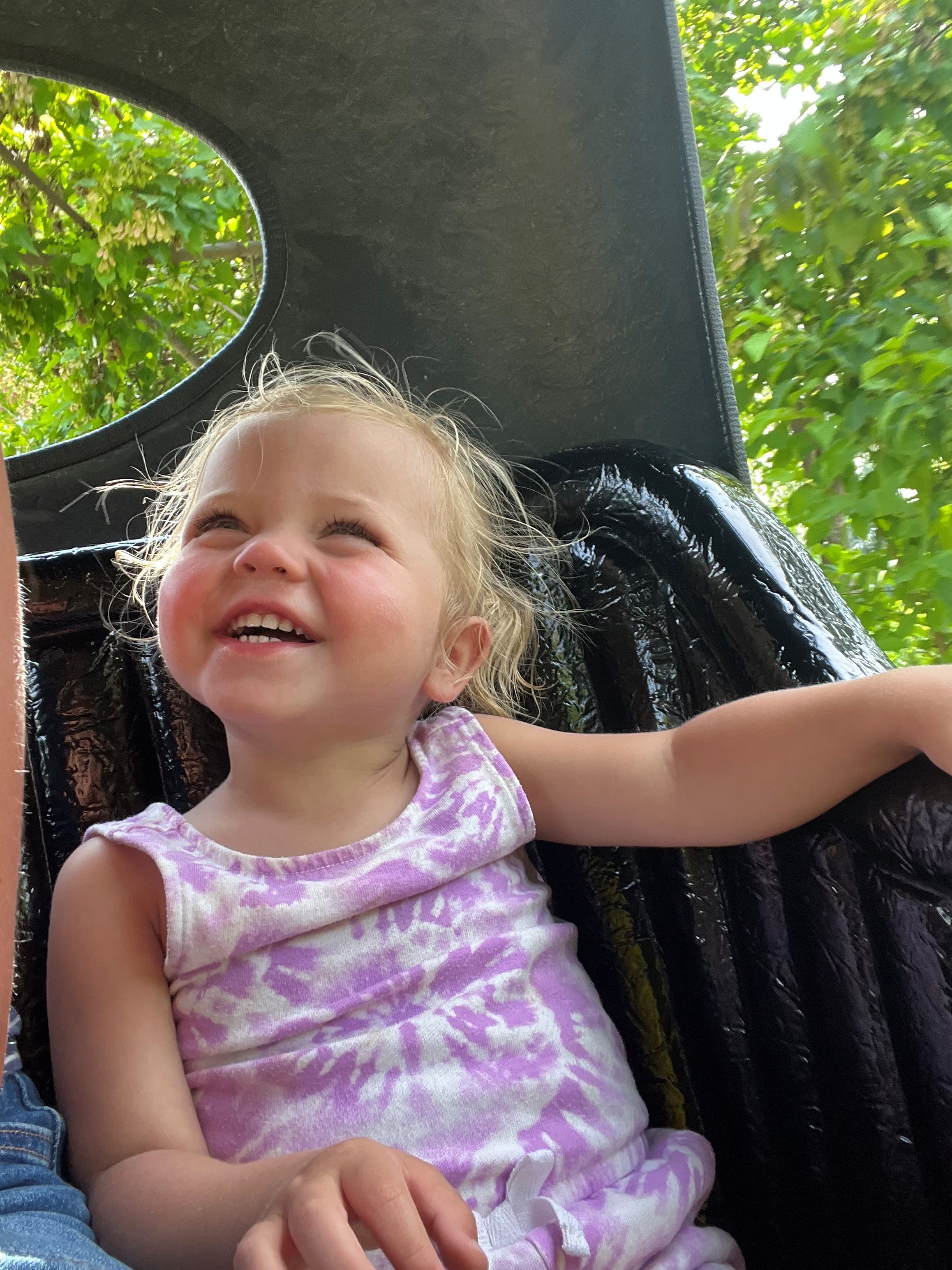 Silverwood Ride Guide by Age: What Our 2, 4, and 6-Year-Olds Loved